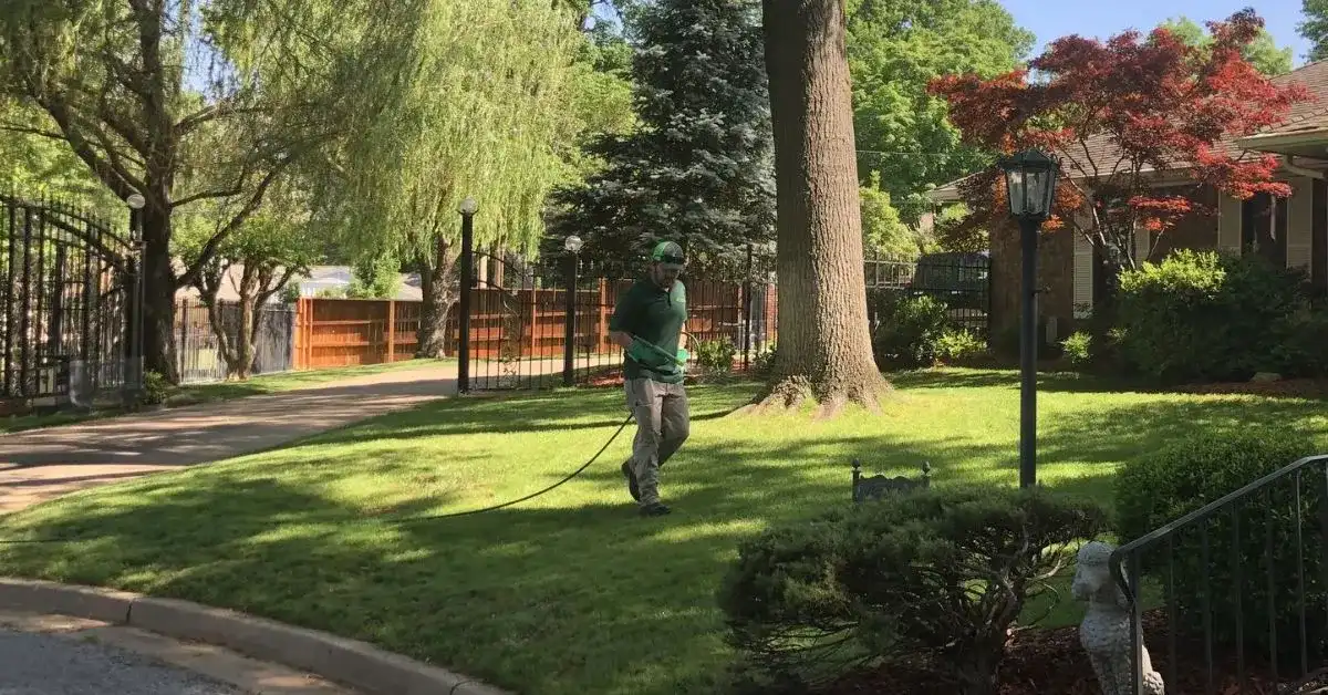 pest control