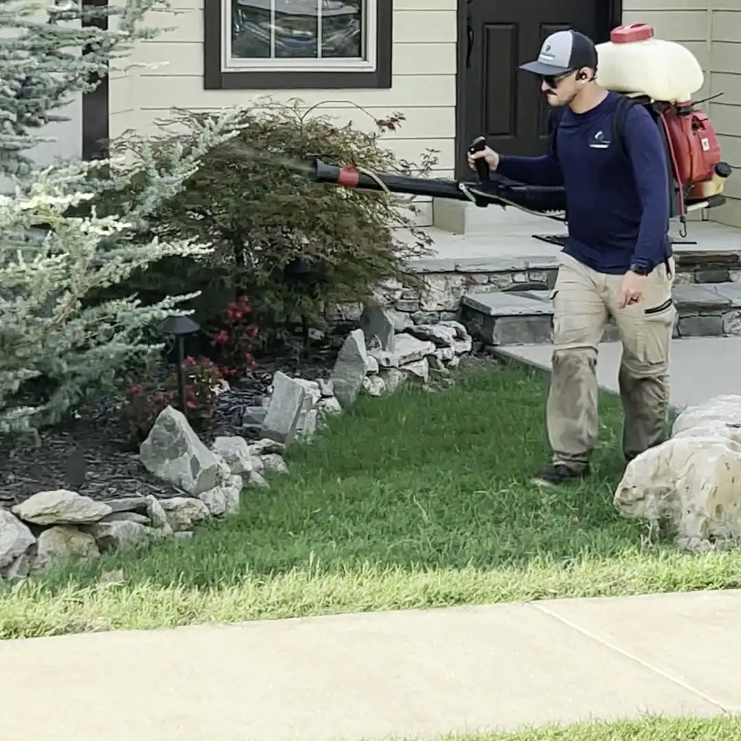 Mosquito Control